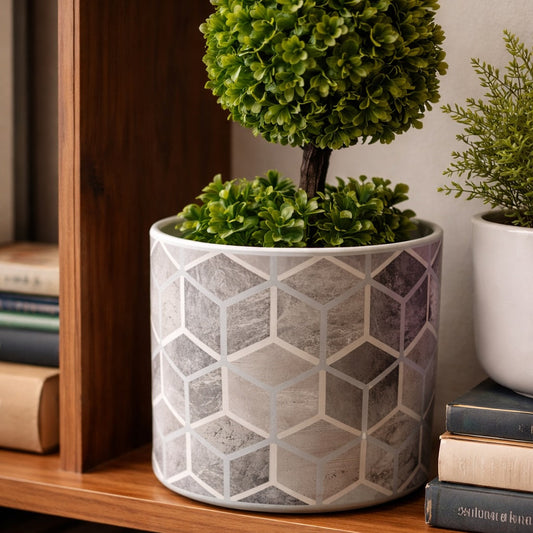 Geometric-patterned pot with a green topiary on a wooden shelf with books and other plants.