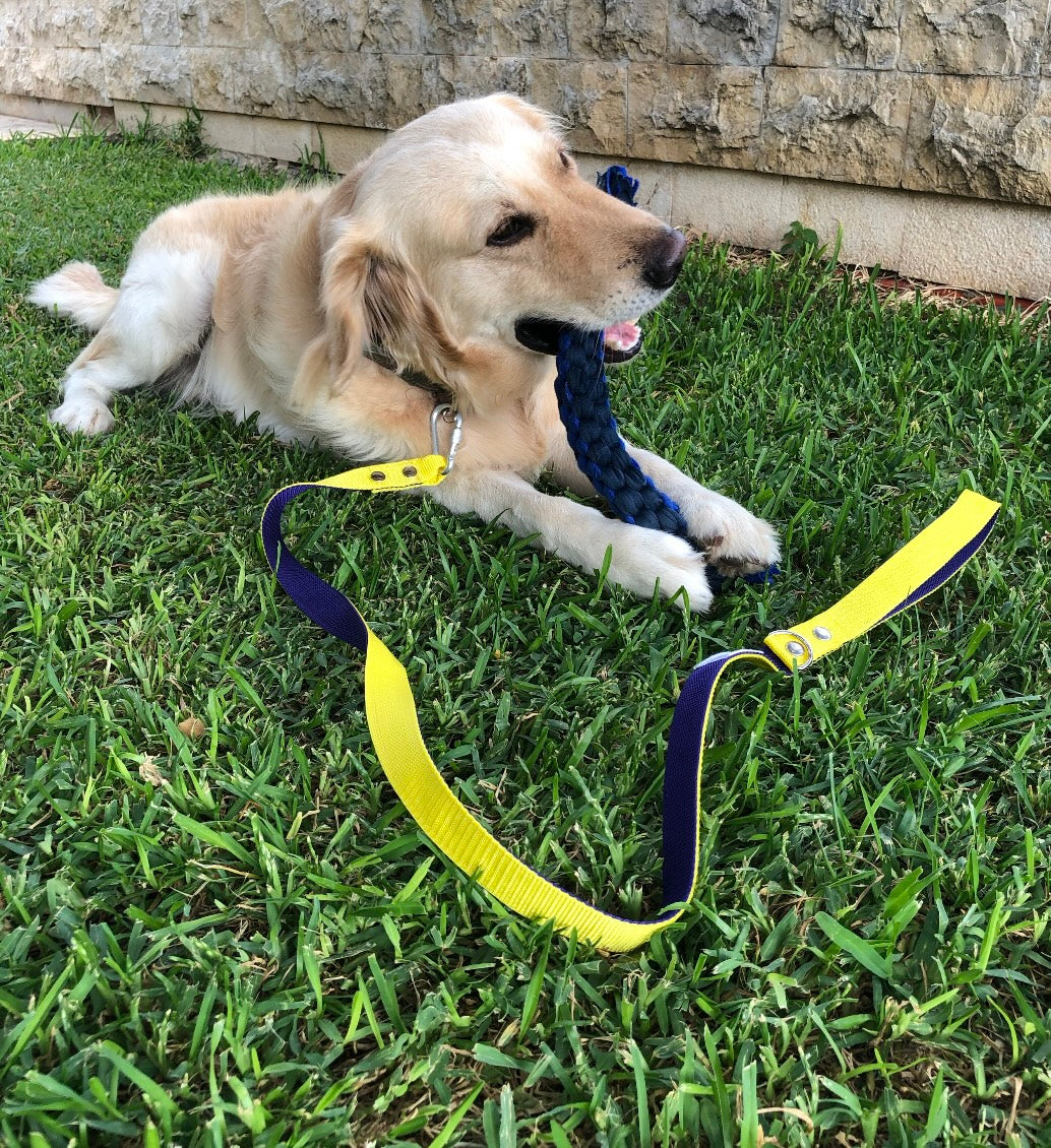 Standard Leash - Reinforced Dual Color