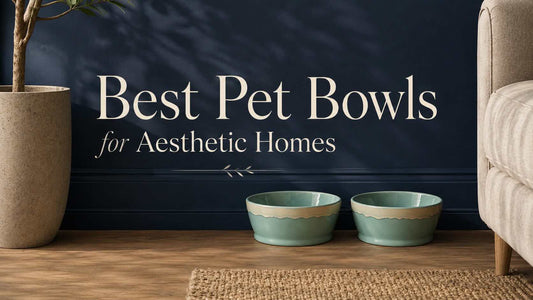 Best Pet Bowls for Aesthetic Homes