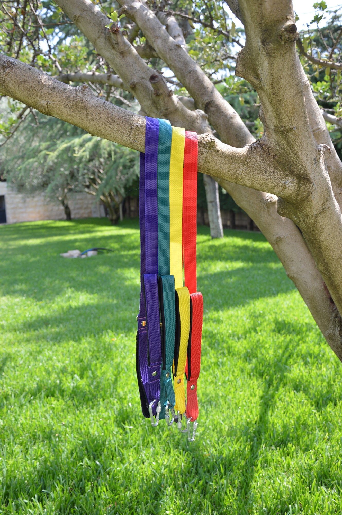 Traffic Leash - Double Handle Leash