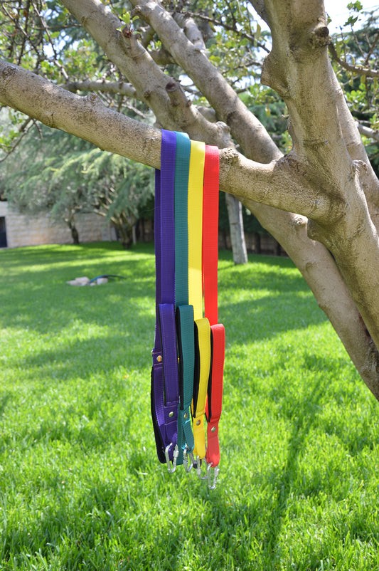 Traffic Leash - Double Handle Leash