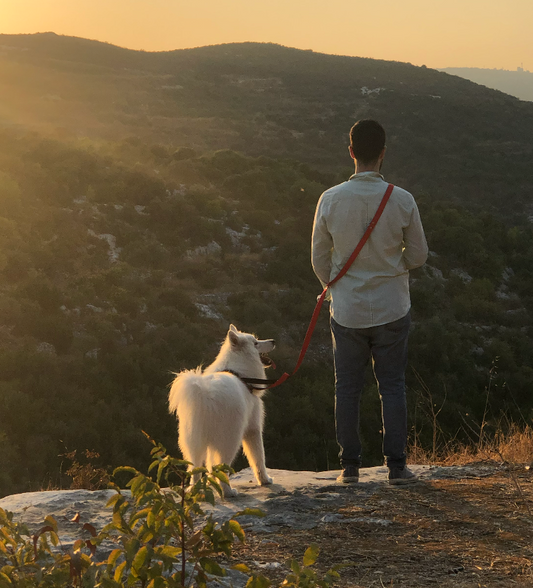 3-in-1 Crossbody Hands-Free Dog Leash – Adjustable Multi-Use Leash