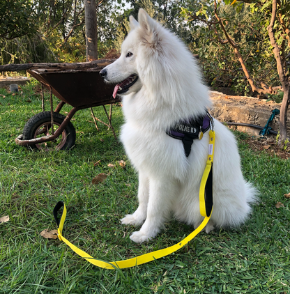 Traffic Leash - Double Handle Leash