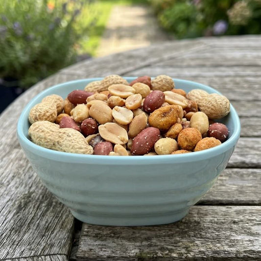 Peanut & Snack Bowl – Pastel Colors