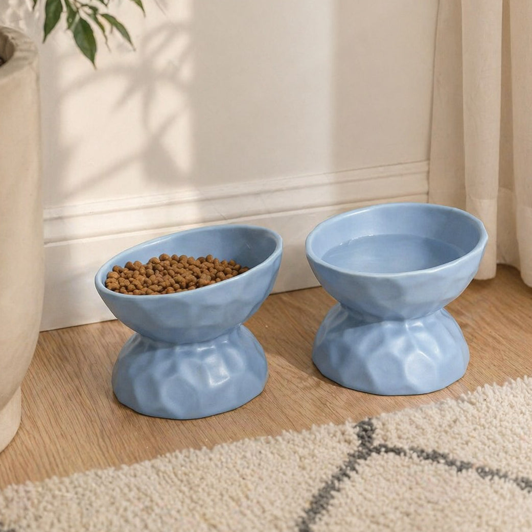 Two blue pet bowls on a wooden floor with a plant in the corner.