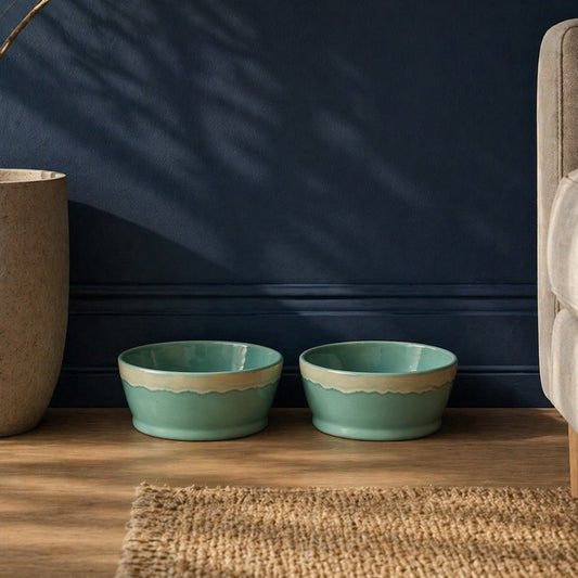 Two teal bowls on a wooden surface with a dark blue wall and a plant in the background.