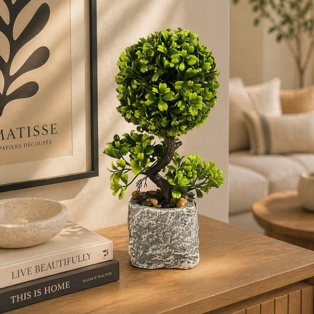 Mini Bonsai Style Plant with Ceramic Pot