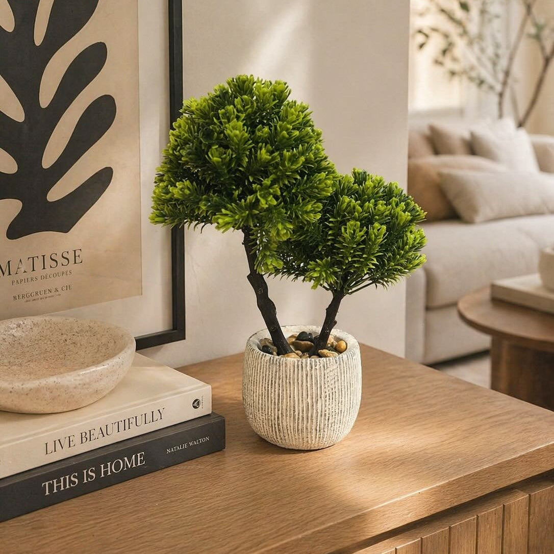 Mini Bonsai Style Plant with Ceramic Pot