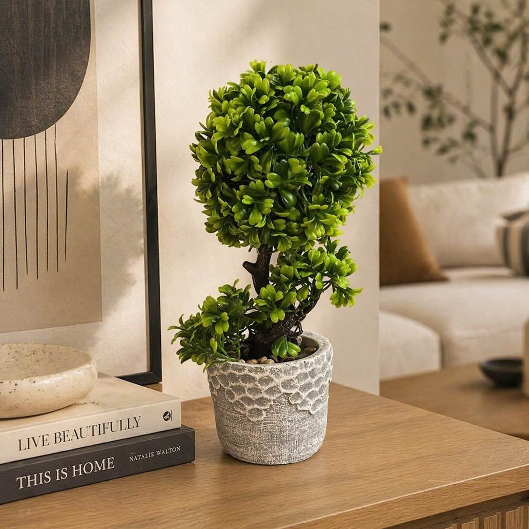 Mini Bonsai Style Plant with Ceramic Pot