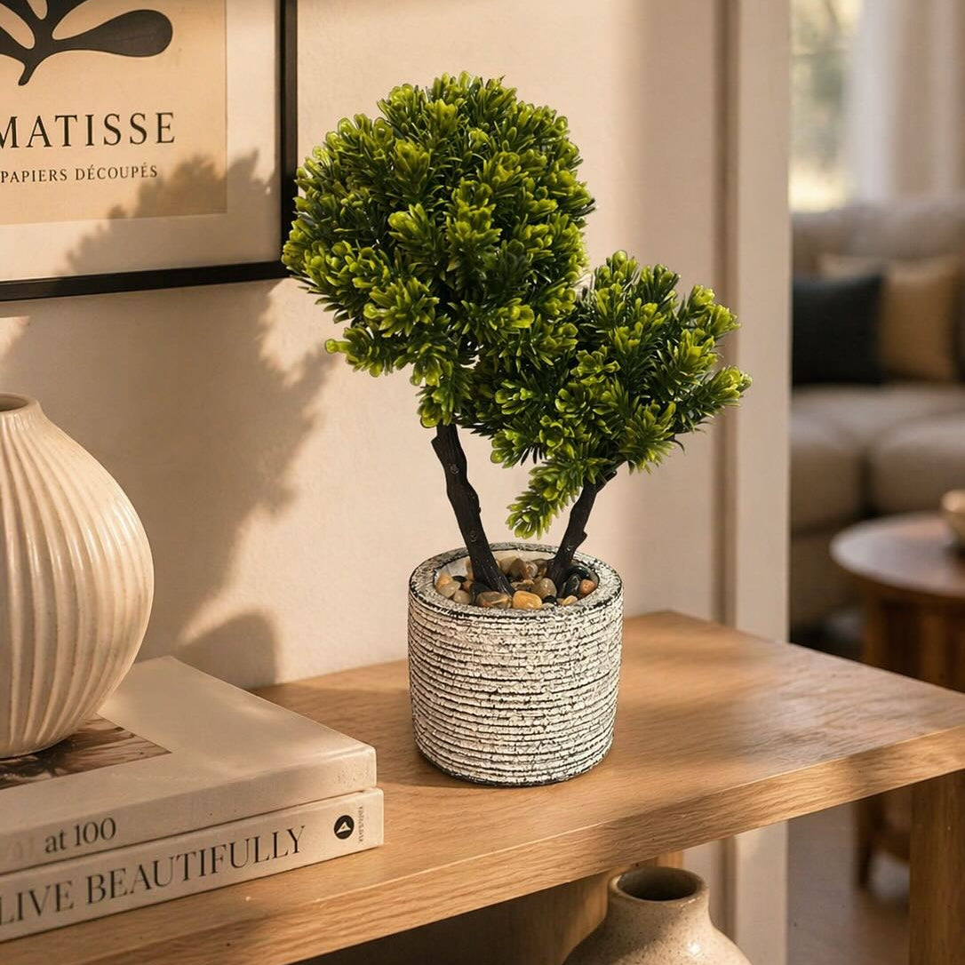 Mini Bonsai Style Plant with Ceramic Pot