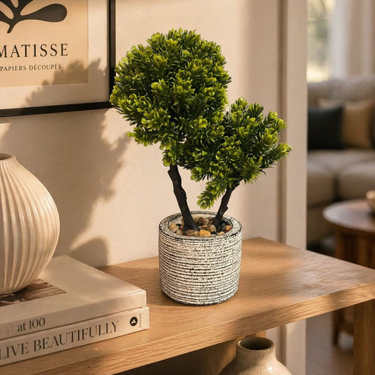 Mini Bonsai Style Plant with Ceramic Pot