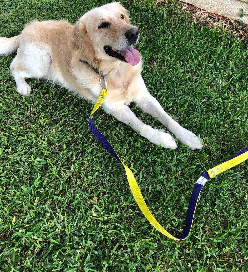 Standard Leash - Reinforced Dual Color