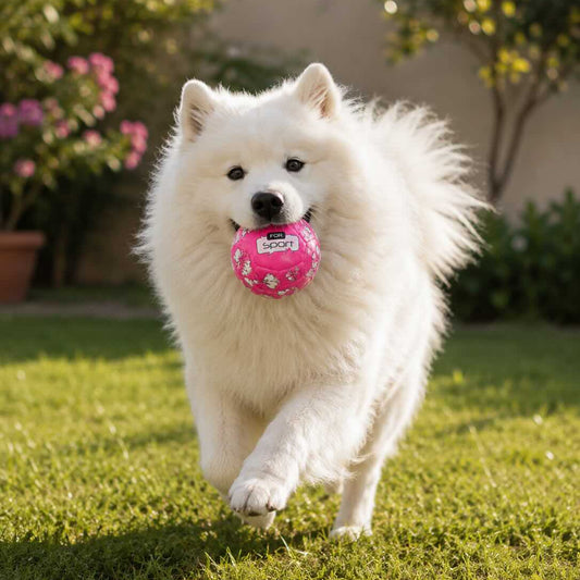 White dog running on grass with a pink ball in its mouth