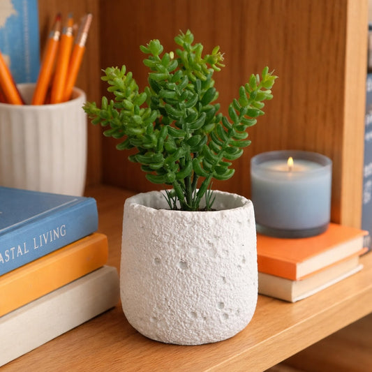 Stone Textured Ceramic Planter with Faux Green Succulent