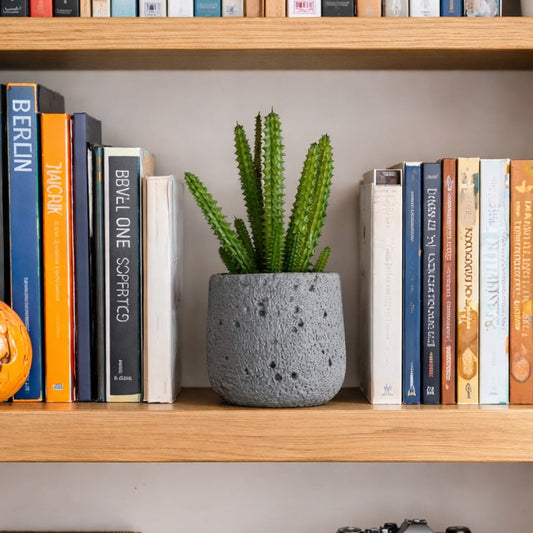 Stone Textured Ceramic Planter with Faux Green Succulent
