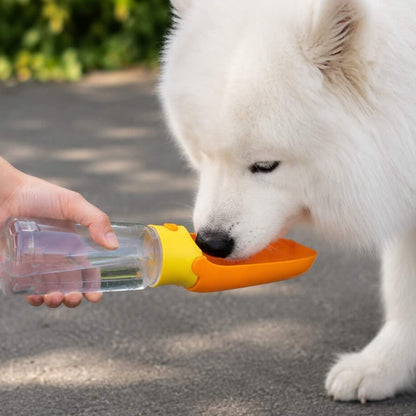 White dog drinking from a transparent bottle with an orange lid held by a person outdoors.