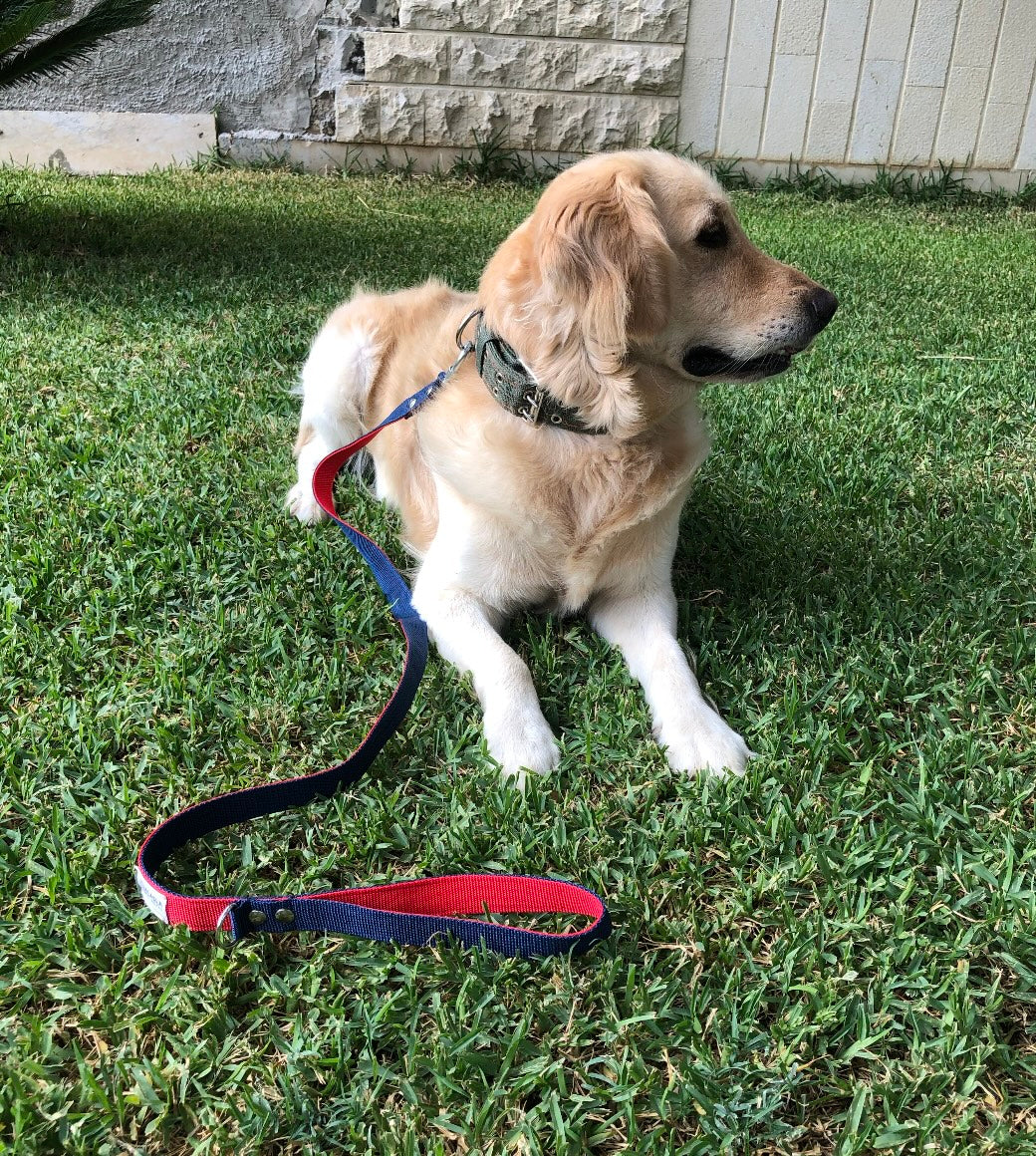 Standard Leash - Reinforced Dual Color