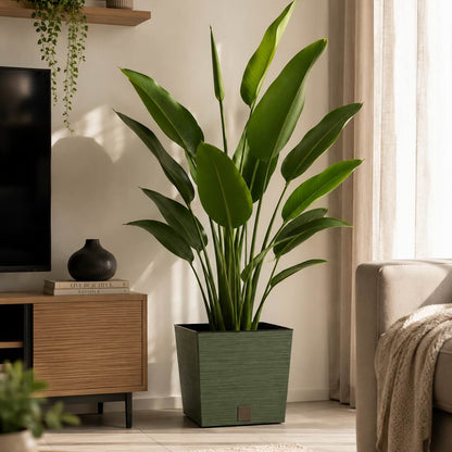 Square Ribbed Planter Pot  – Decorative Indoor & Outdoor Plant Pot