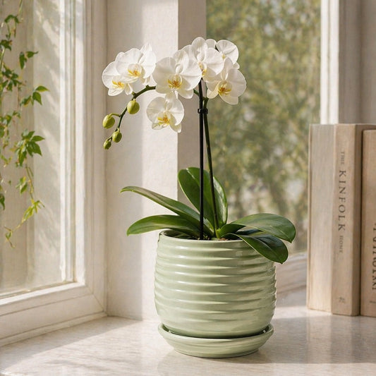 Ribbed Ceramic Planter