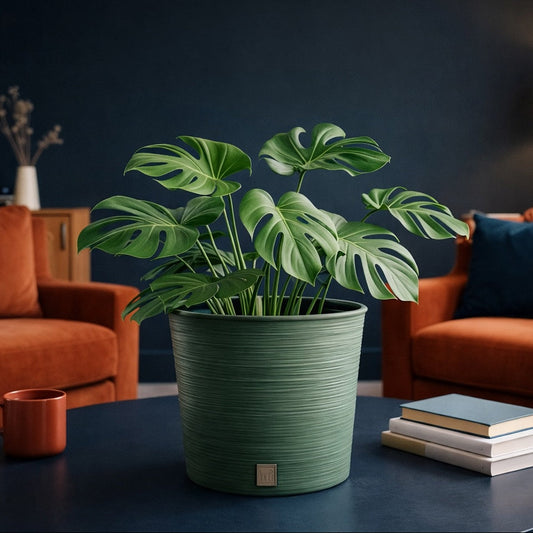 Potted plant on a coffee table with orange couches and decorative items in a living room.