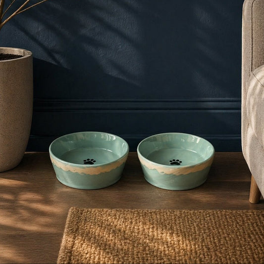 Two teal pet bowls with paw prints on a wooden floor against a dark blue wall.