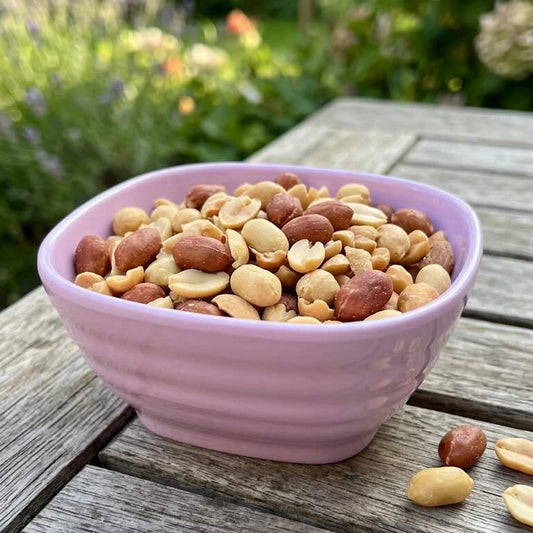 Peanut & Snack Bowl – Pastel Colors