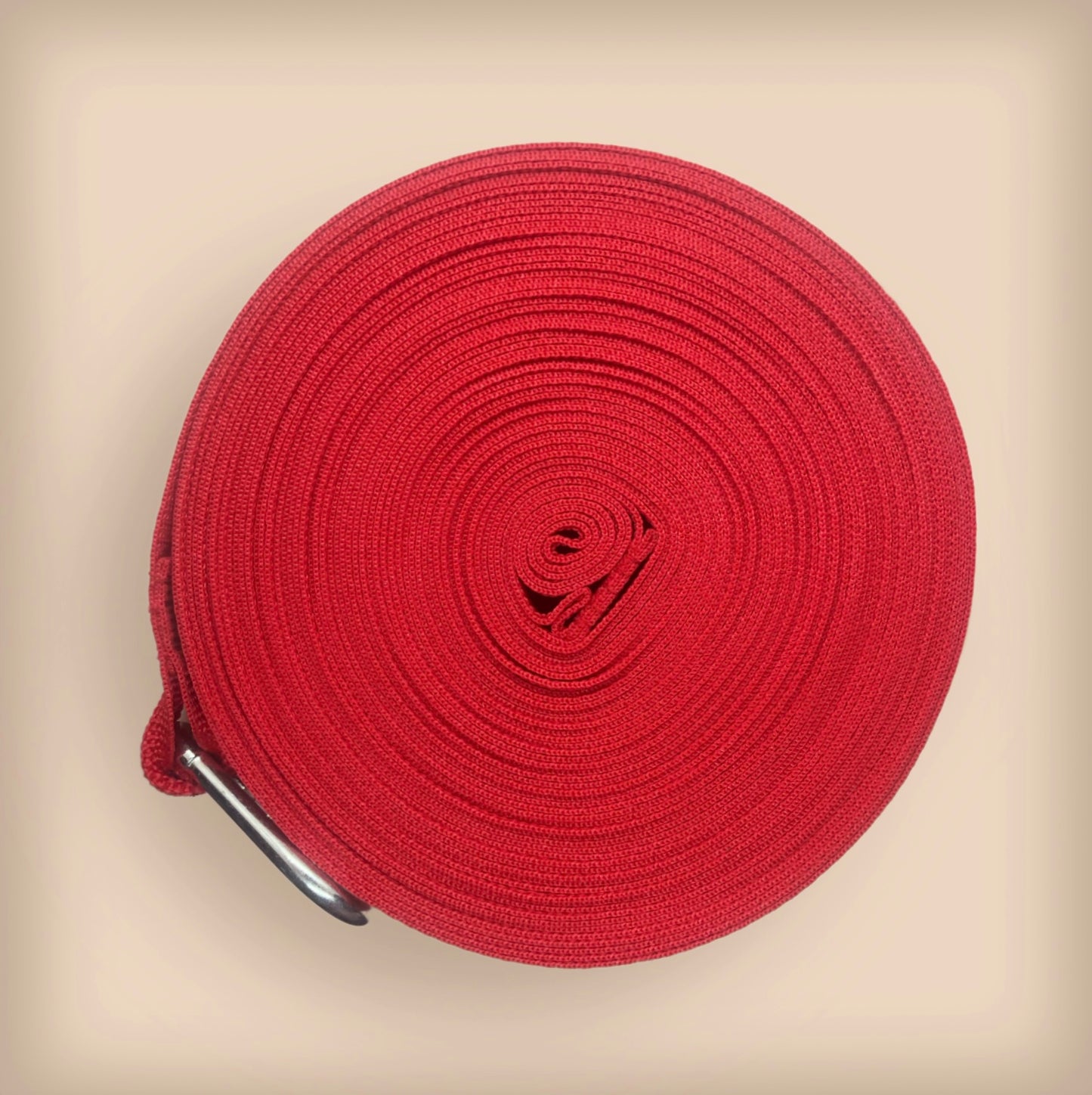 Long Line Dog Leash for Training, Recall & Outdoor Freedom