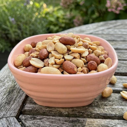 Peanut & Snack Bowl – Pastel Colors