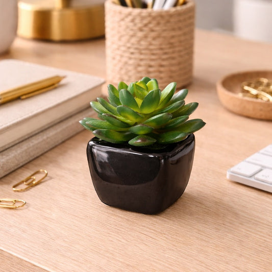 Mini Faux Succulent in Ceramic Pot