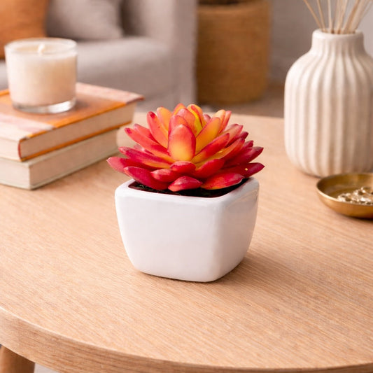 Mini Faux Succulent in Ceramic Pot