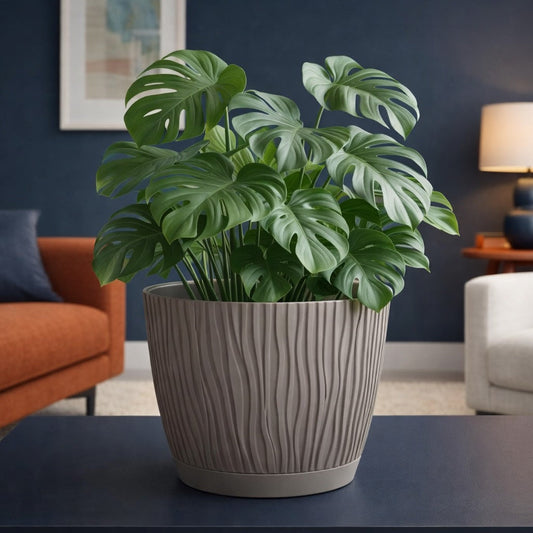 Textured Indoor Planter Pot – Modern Decorative Plant Pot – Home Décor